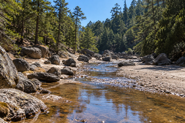 Ríos de la Tarahumara llegan hasta el Golfo de México