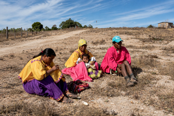 Sierra Tarahumara pierde 21 mil habitantes por éxodo