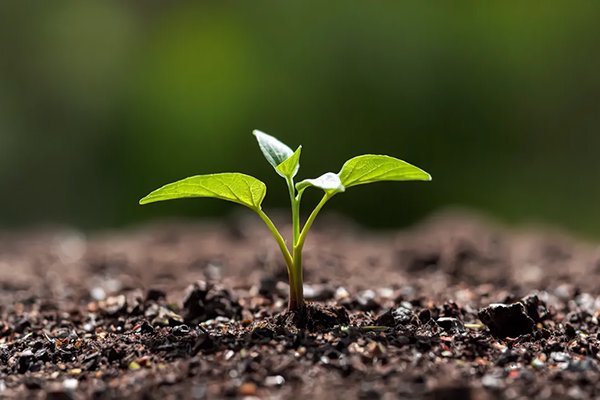 Si sospechas que tienes baja autoestima, este artículo es para ti. Desglosamos 9 señales claras que a menudo se pasan por alto. ¡Empieza tu cambio aquí!